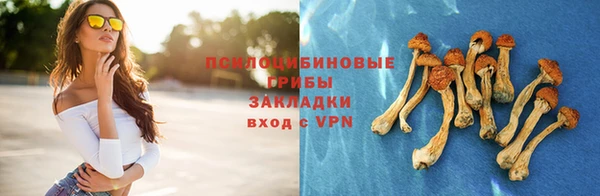 соль курить ск Михайловка